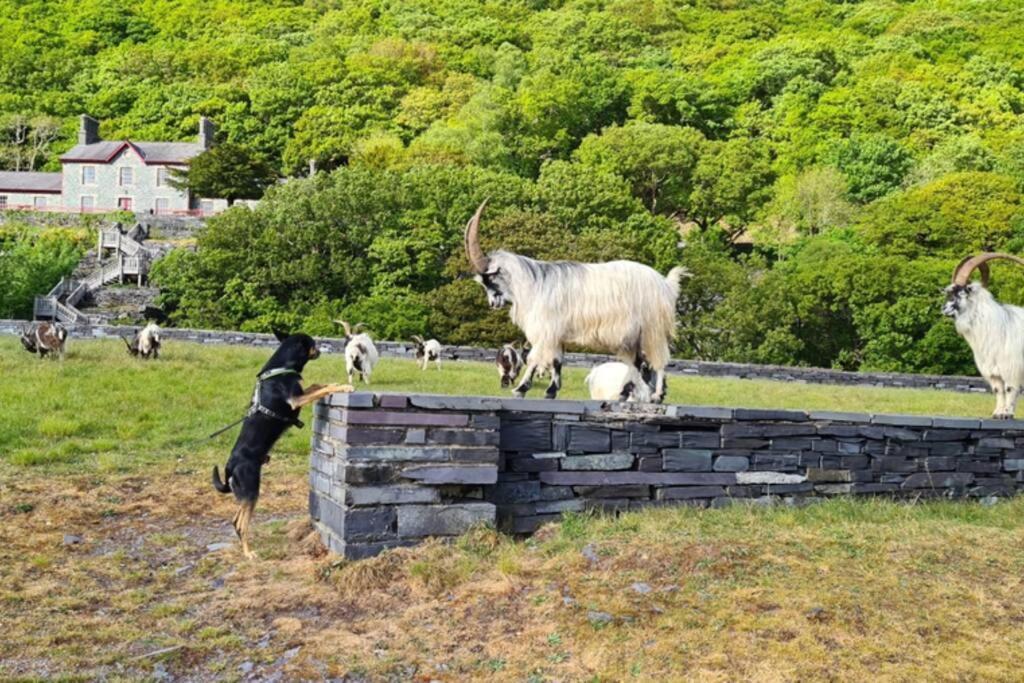 Minafon Villa Llanberis Luaran gambar